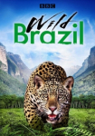 Wildes Brasilien