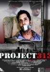 Project 313