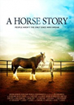 A Horse Story